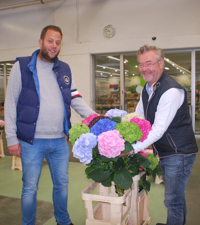 ÜBER UNS | Star&Star Blumengroßhandel Köln Düsseldorf Dortmund Rosen Tulpen