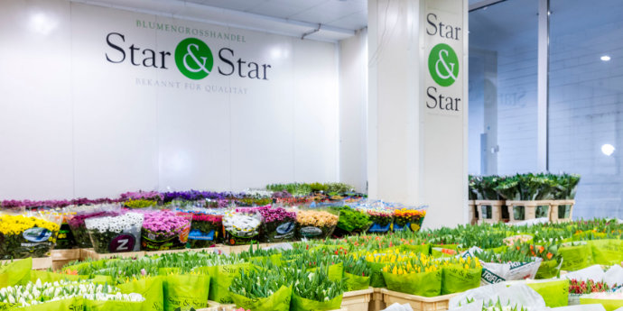 Star&Star Blumengroßhandel Köln Düsseldorf Dortmund Rosen Tulpen