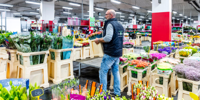 Star&Star Blumengroßhandel Köln Düsseldorf Dortmund Rosen Tulpen